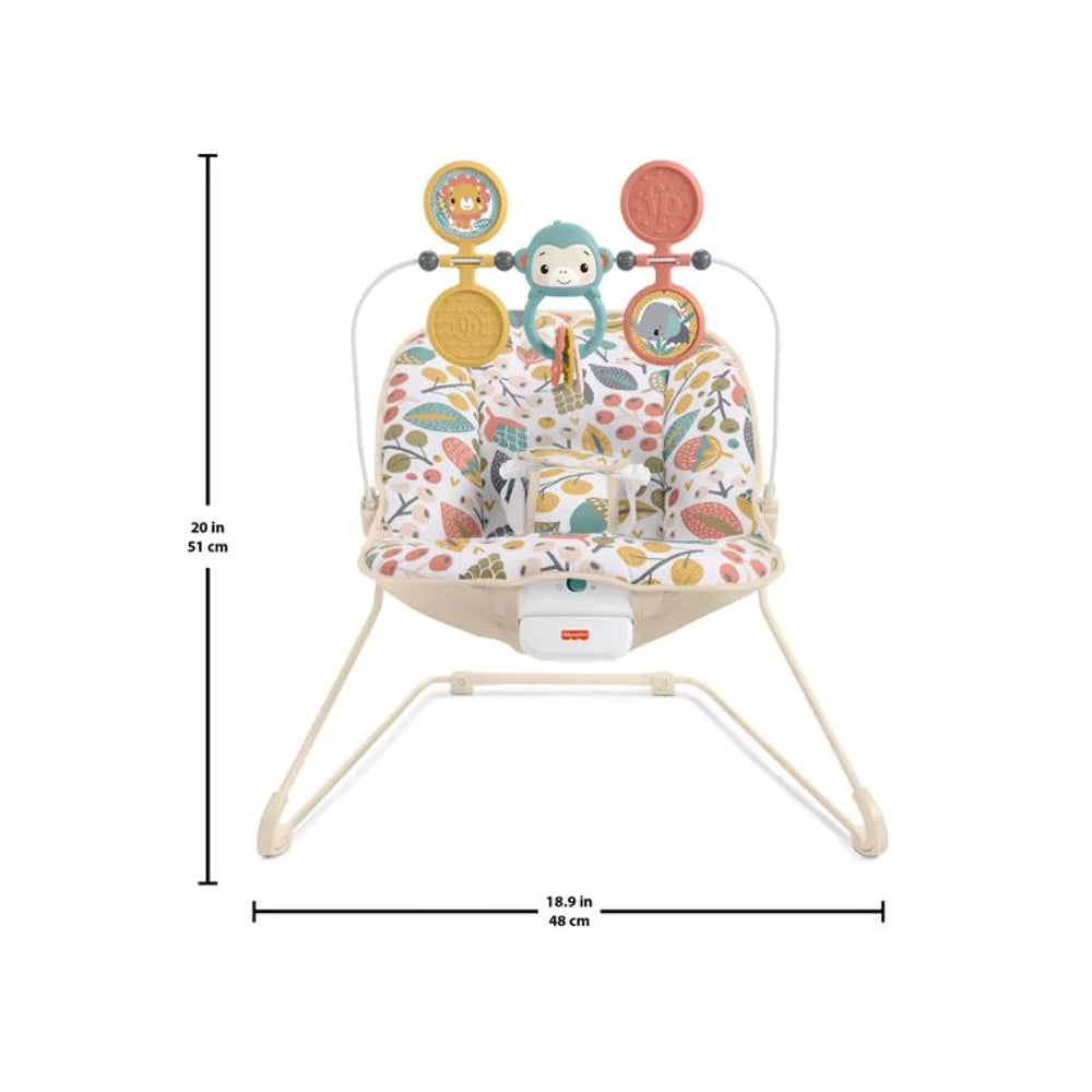 Fisher-Price Baby's Bouncer