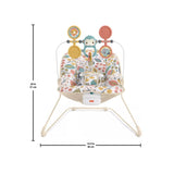 Fisher-Price Baby's Bouncer