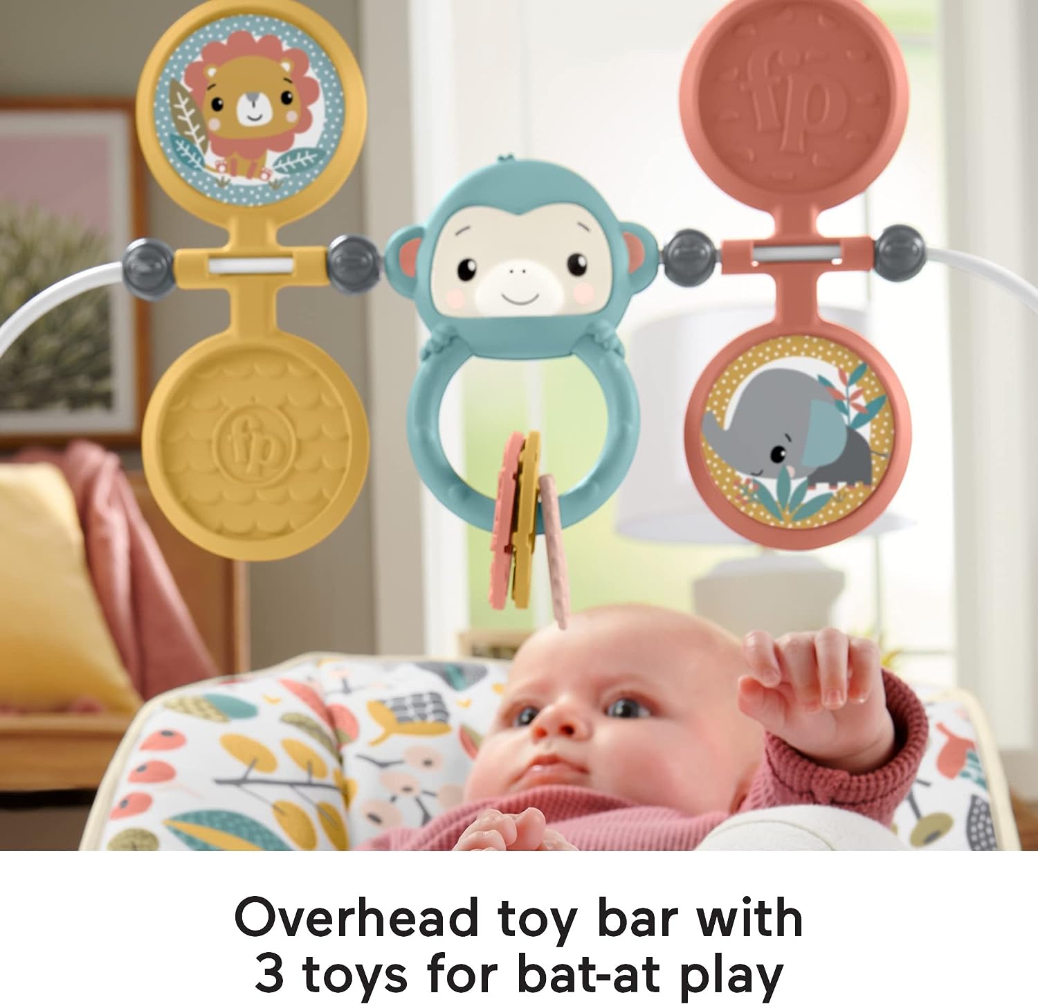 Fisher-Price Baby's Bouncer