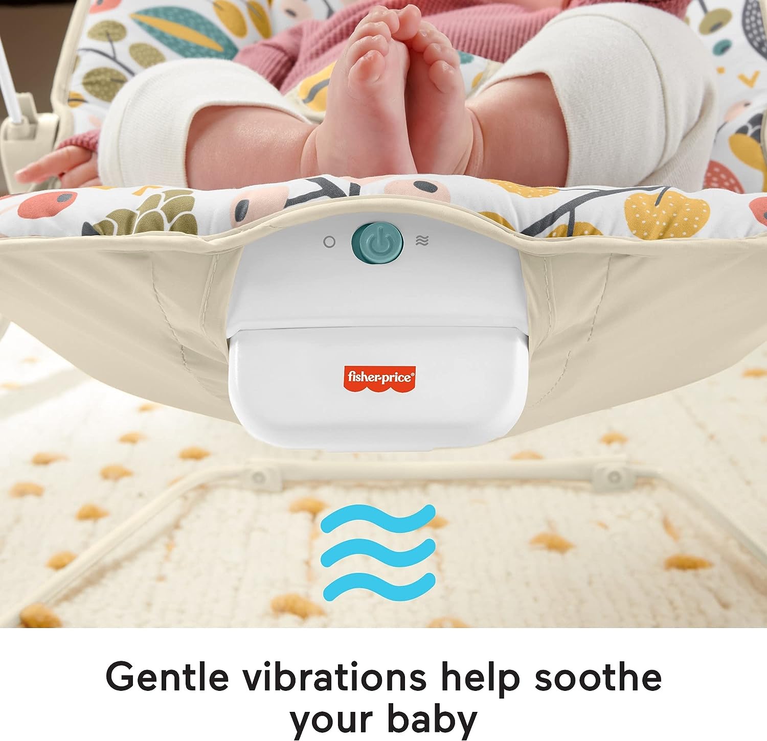 Fisher-Price Baby's Bouncer