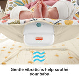 Fisher-Price Baby's Bouncer