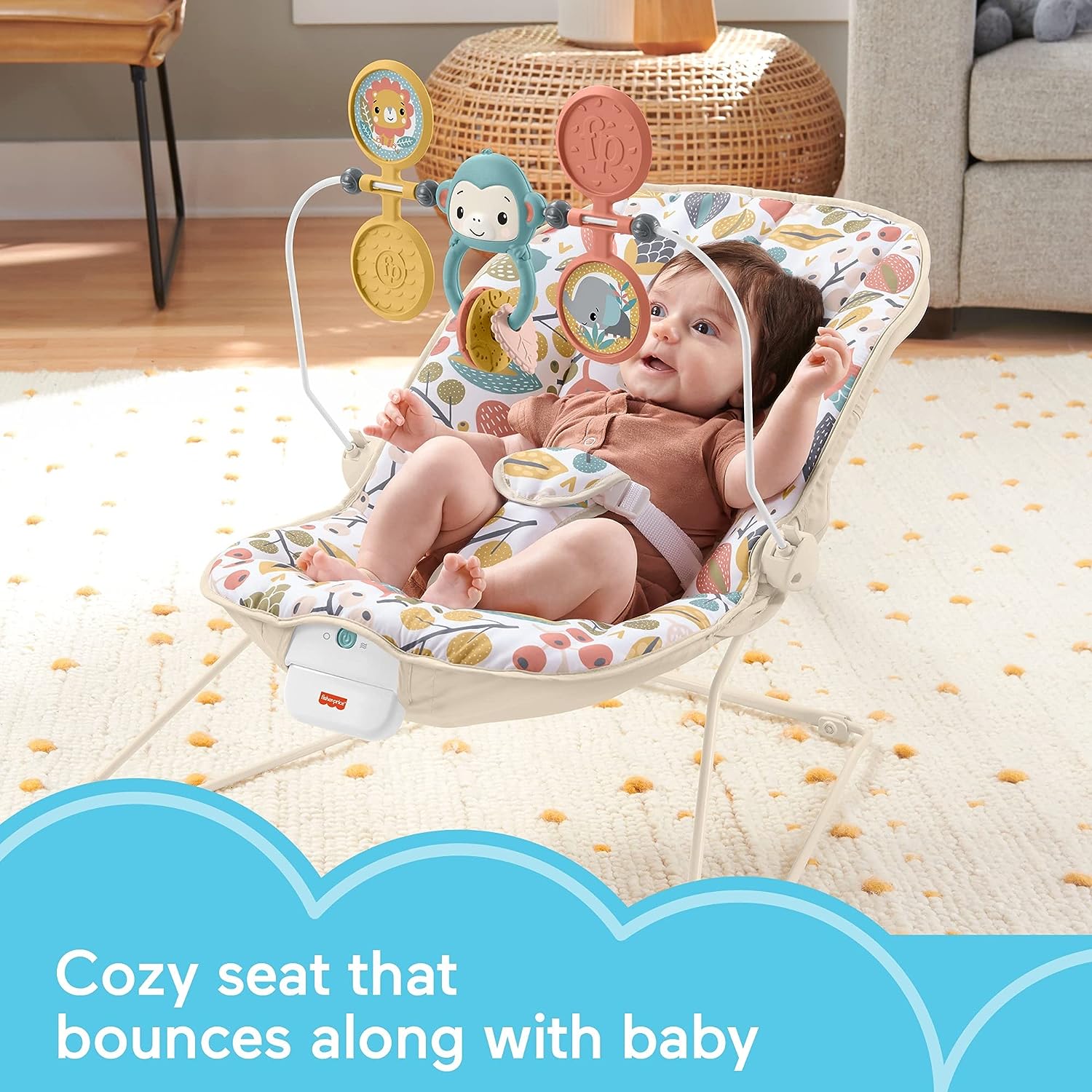 Fisher-Price Baby's Bouncer