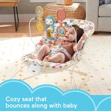 Fisher-Price Baby's Bouncer