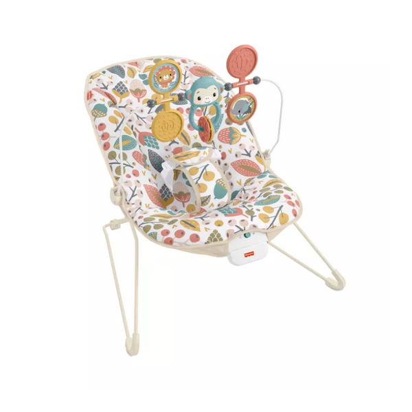 Fisher Price Baby s Bouncer Smooth Sales