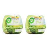2 Pack x Air Wick Essential Oils Refreshing Lemongrass Cone - 180g