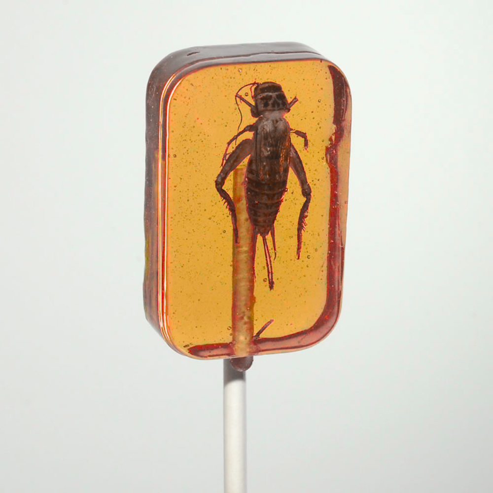 Hotlix Cricket Lick-It Suckers 31g – Real Crickets in Hard Candy