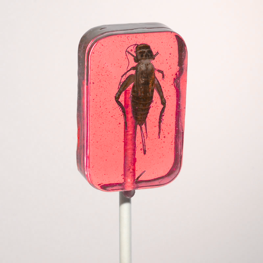Hotlix Cricket Lick-It Suckers 31g – Real Crickets in Hard Candy