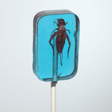Hotlix Cricket Lick-It Suckers 31g – Real Crickets in Hard Candy