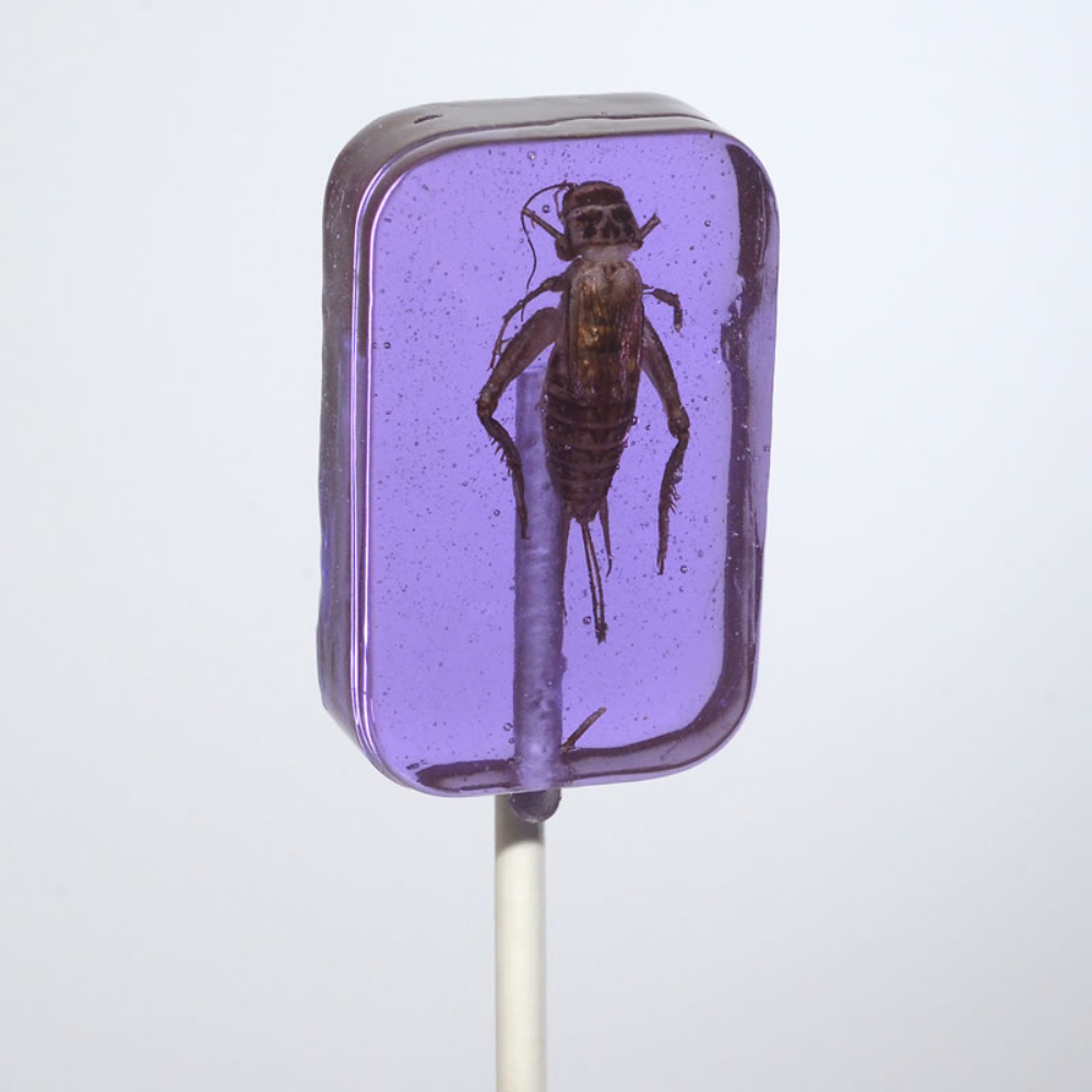 Hotlix Cricket Lick-It Suckers 31g – Real Crickets in Hard Candy