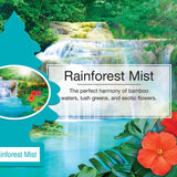 2 Pack x Little Trees Air Freshener - Rainforest Mist