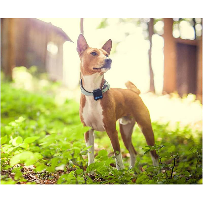 Tractive Pet GPS Tracker 3G