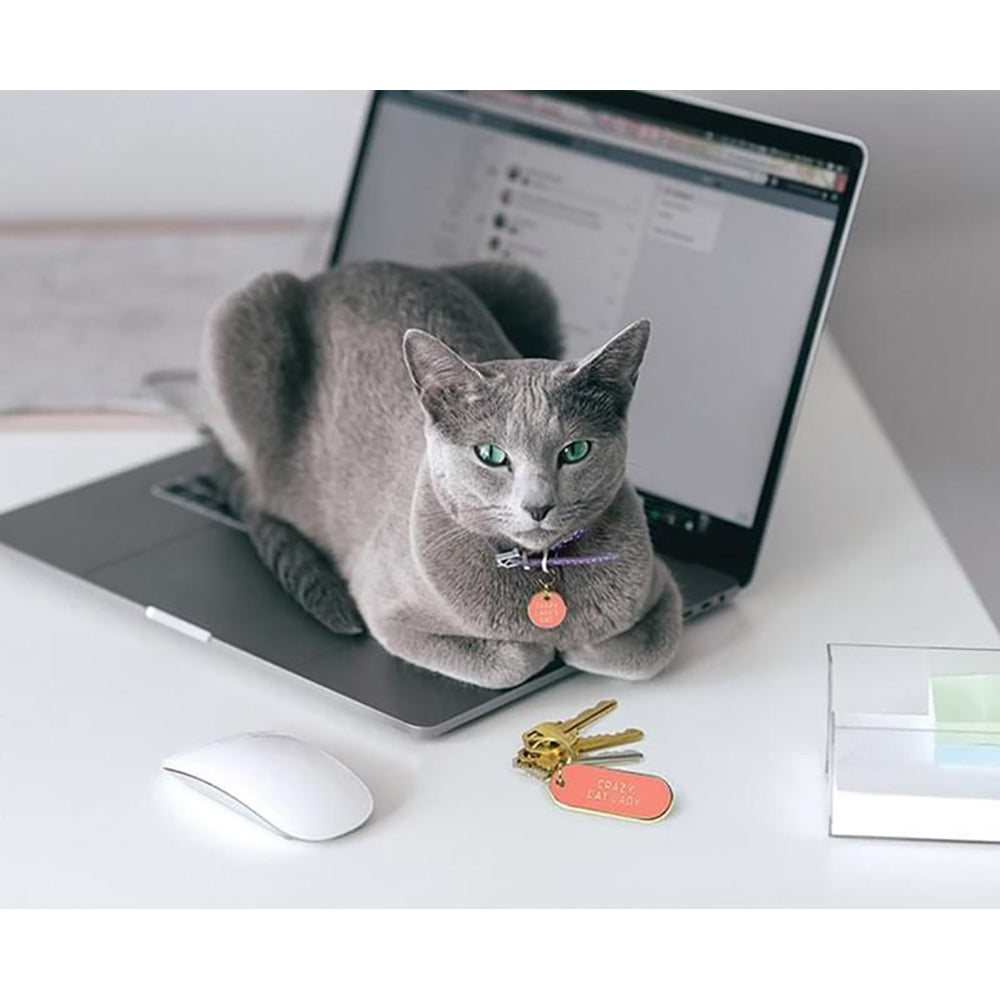 Fred Keychain and Dog Tag Set