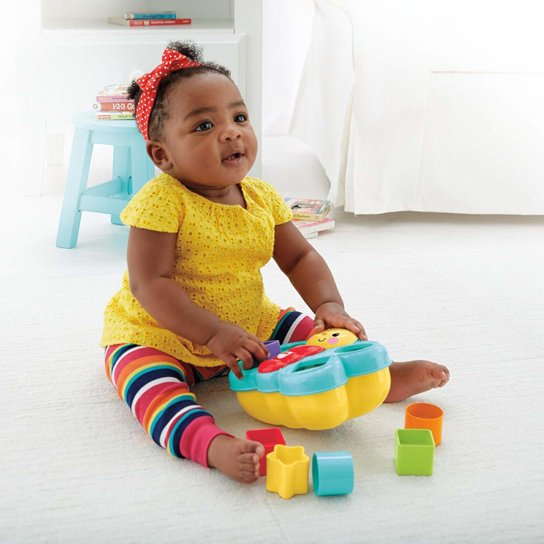 Fisher Price Butterfly Shape Sorter