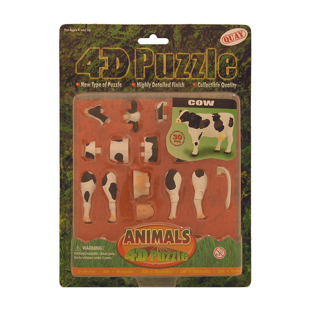 4D Puzzles - Assorted