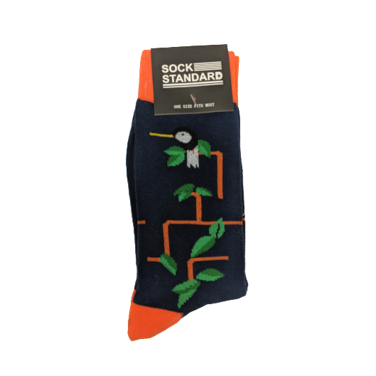 Sock Standard - Humming Bird