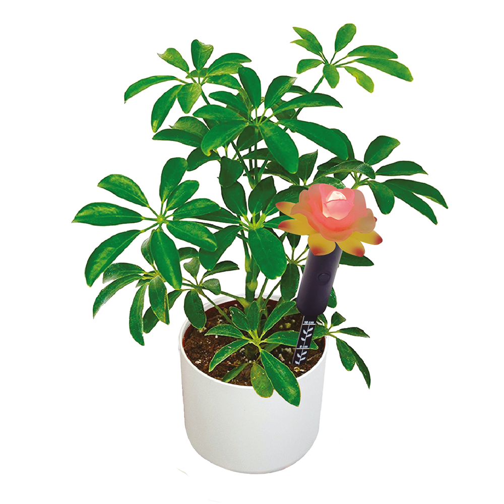 LED Light Up Plant Moisture Sensor