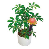 LED Light Up Plant Moisture Sensor