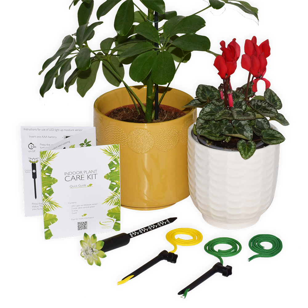 Indoor Plant Care Kit