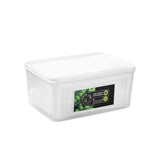 Keep Fresh Storage Container with Lid by Lemon Lime - 3L - 23x16.5x10.5cm