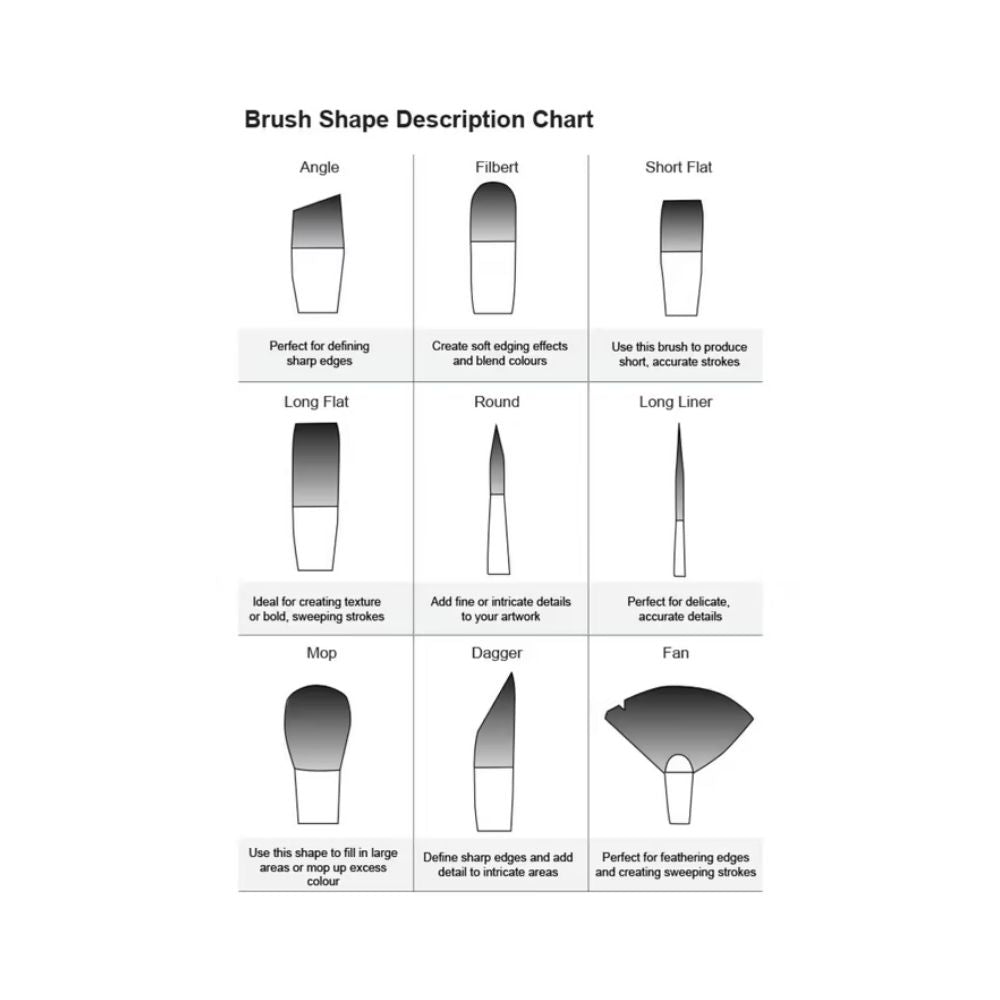 Derwent Academy Hog Hair Paintbrush 12 Pack