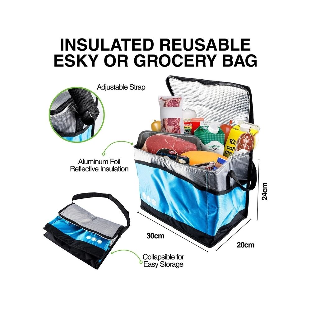 Home Master Insulated Cooler Bag