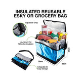 Home Master Insulated Cooler Bag