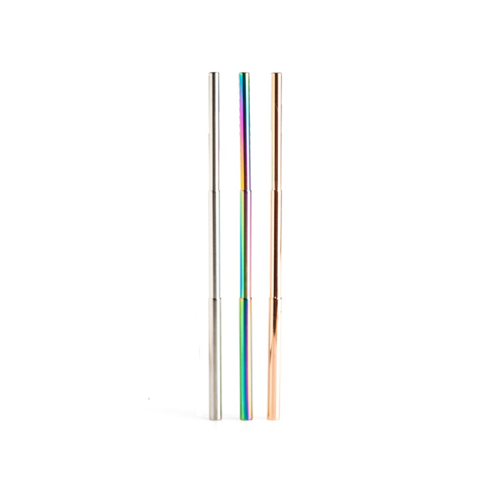 Eco-to-Go Steel Extendable Straw with Cleaning Brush