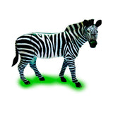 4D Puzzles - Assorted