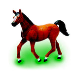 4D Puzzles - Assorted