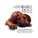 2023 Square Wall Calendar - Animals