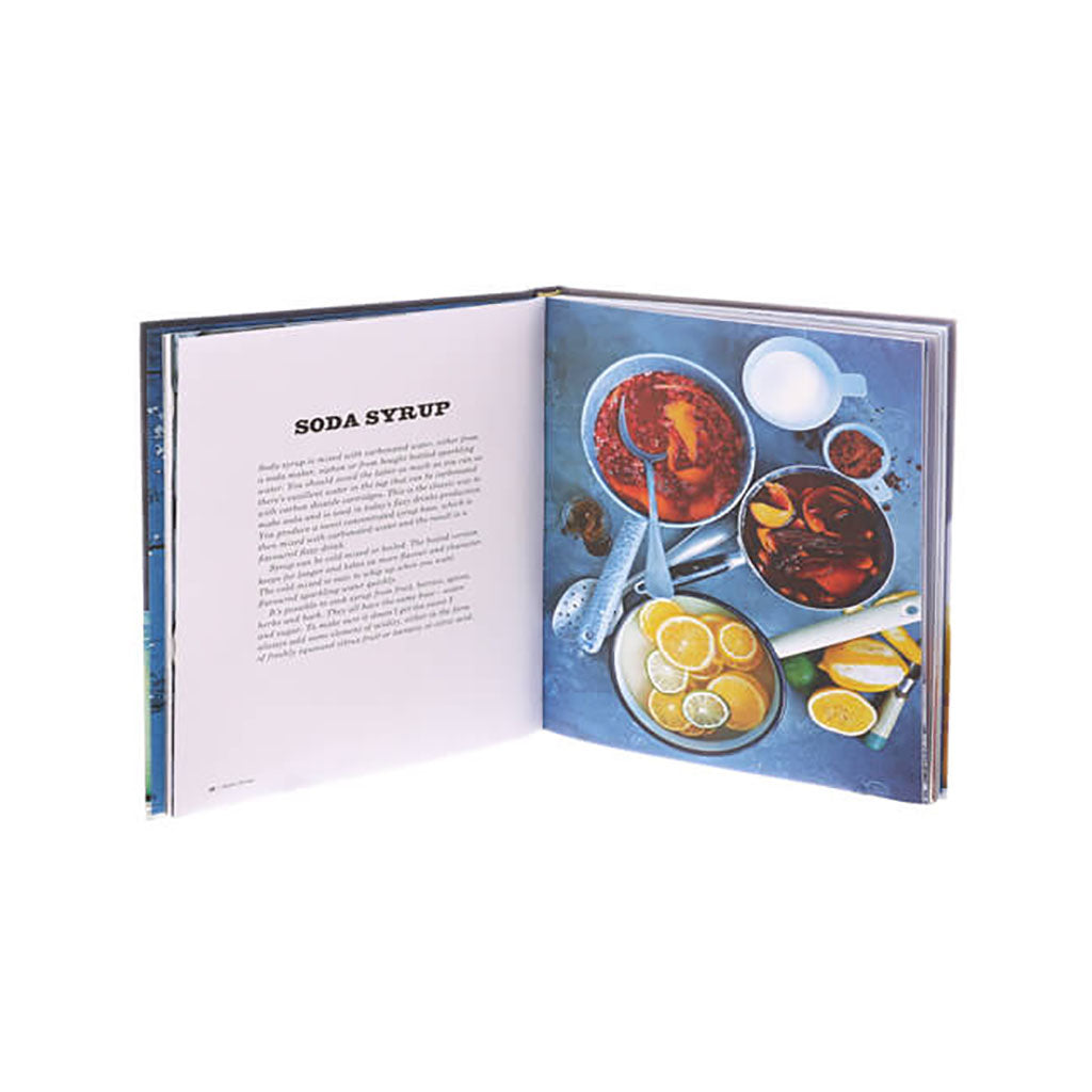 Pop, Bubble & Fizz : Recipes for Homemade Drinks and Snacks