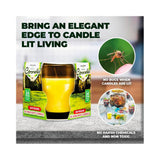 4 x Garden Greens Citronella Scented Candles Cylinder Glass Jars - 120g