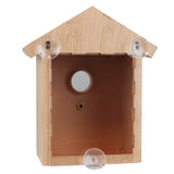 Clear Window View Birdhouse