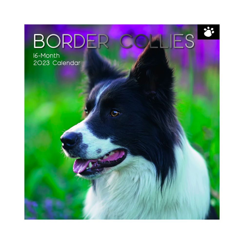 2023 Square Wall Calendar Animals - Dogs