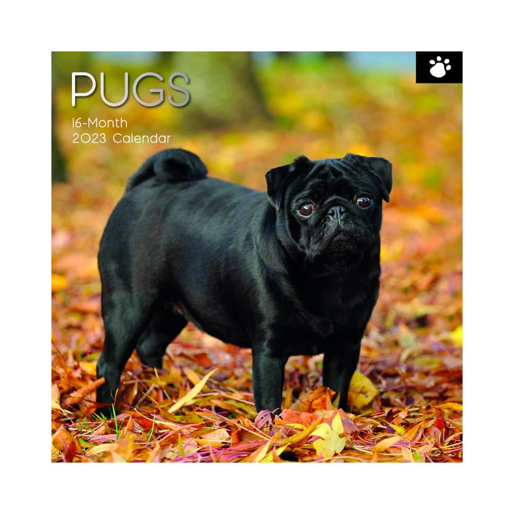 2023 Square Wall Calendar Animals - Dogs