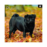 2023 Square Wall Calendar Animals - Dogs