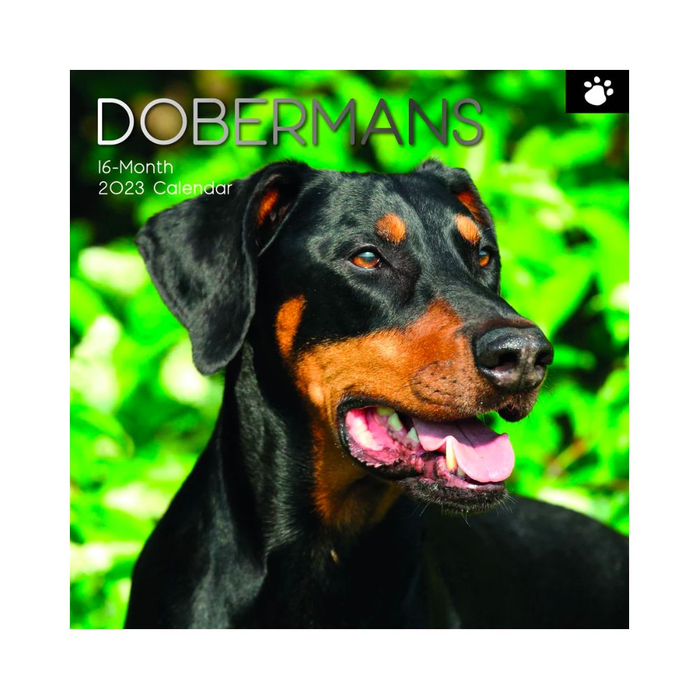 2023 Square Wall Calendar Animals - Dogs