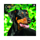 2023 Square Wall Calendar Animals - Dogs