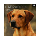 2023 Square Wall Calendar Animals - Dogs