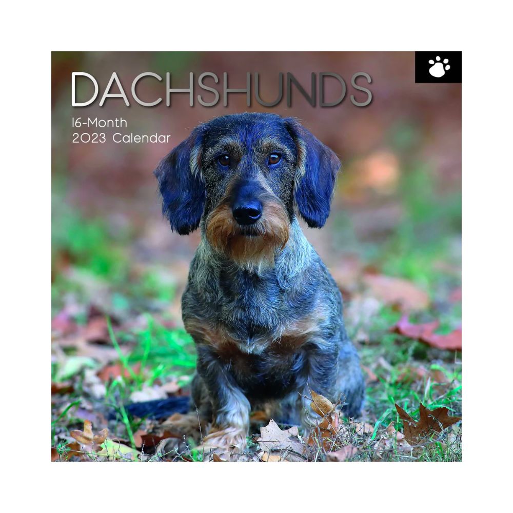 2023 Square Wall Calendar Animals - Dogs