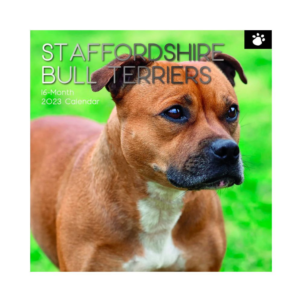 2023 Square Wall Calendar Animals - Dogs