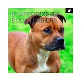 2023 Square Wall Calendar Animals - Dogs