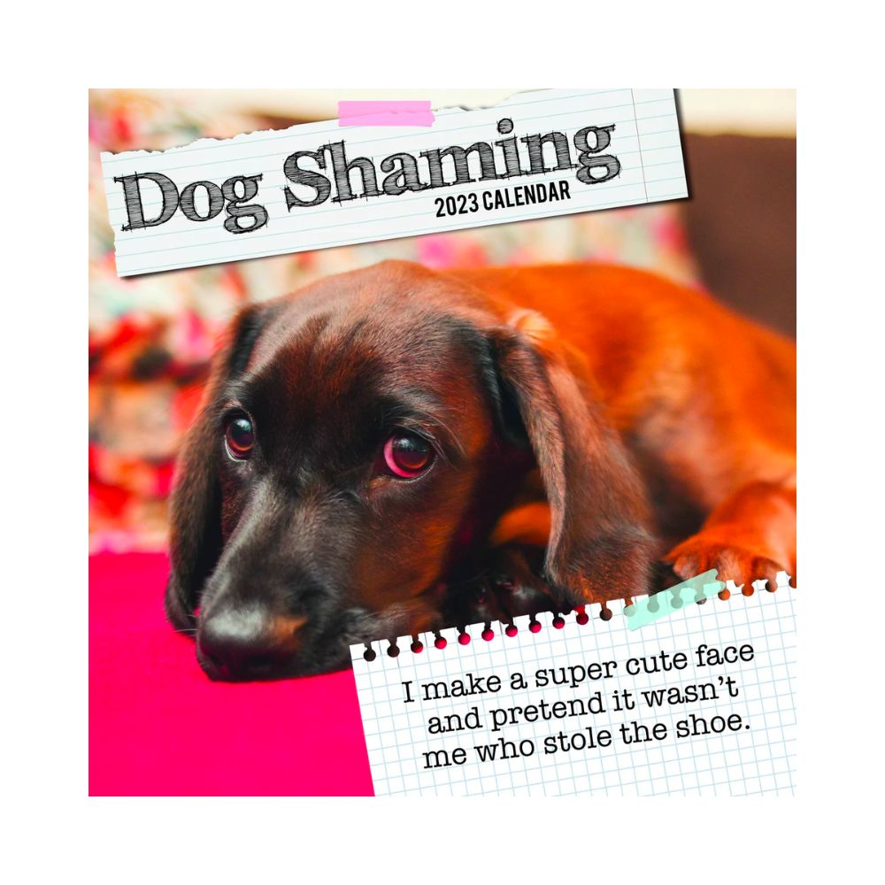 2023 Square Wall Calendar Animals - Dogs