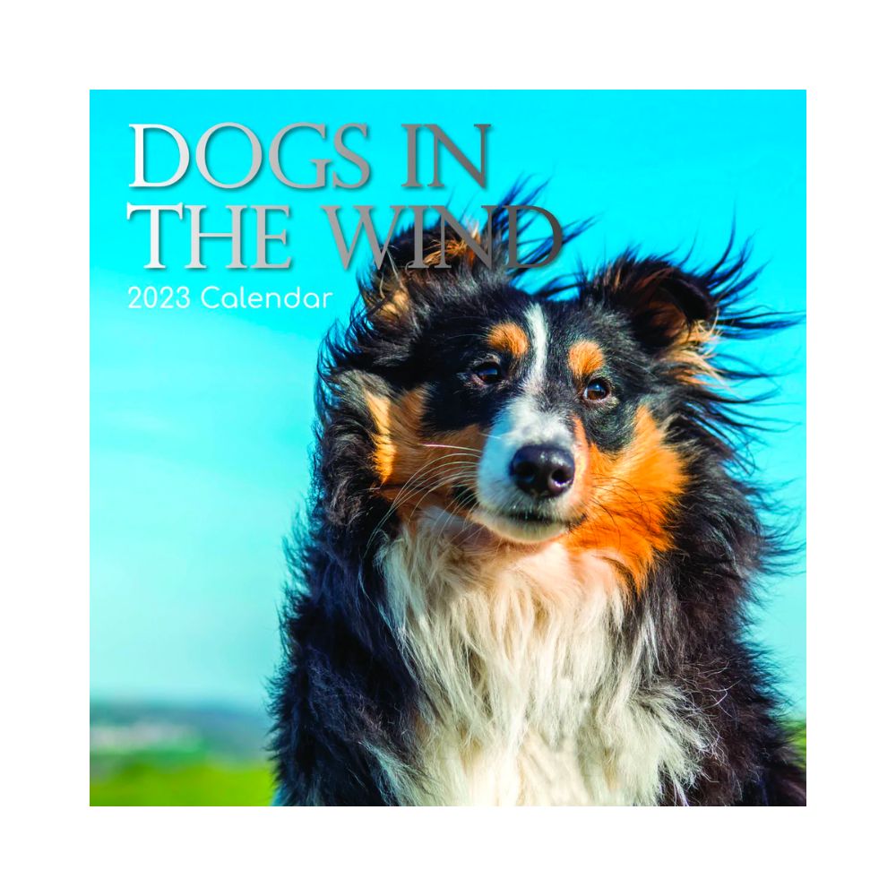 2023 Square Wall Calendar Animals - Dogs