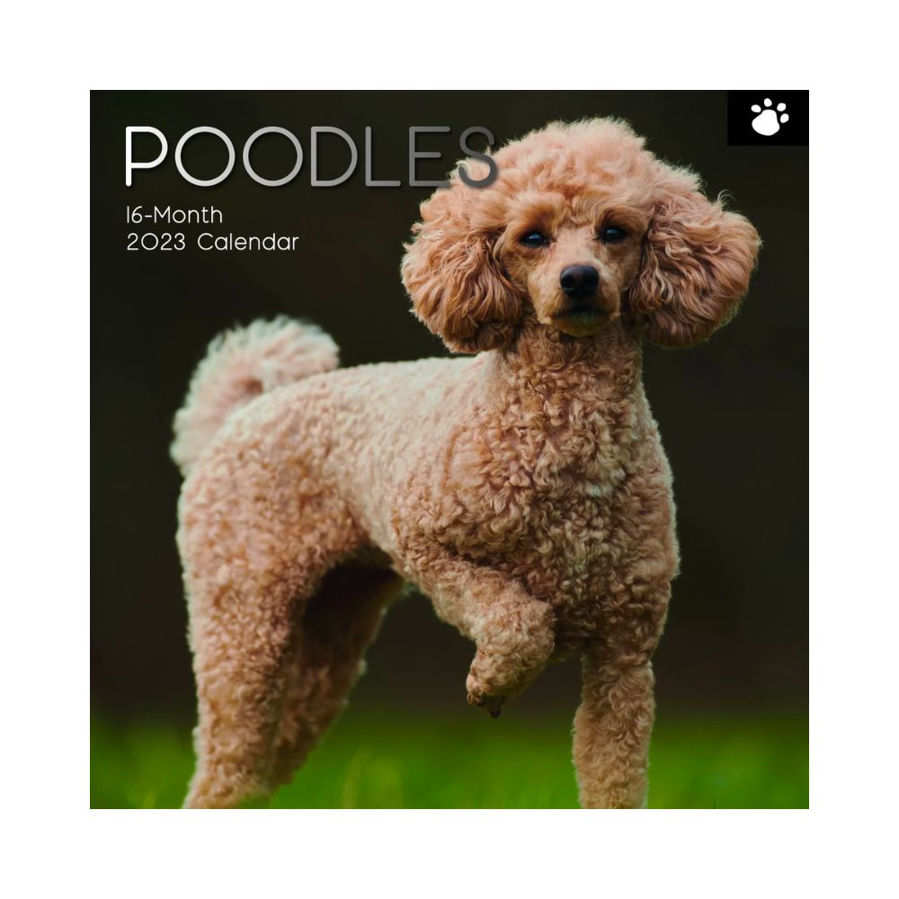 2023 Square Wall Calendar Animals - Dogs