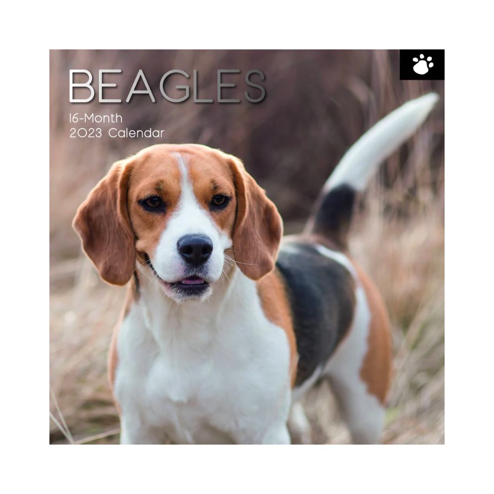 2023 Square Wall Calendar Animals - Dogs