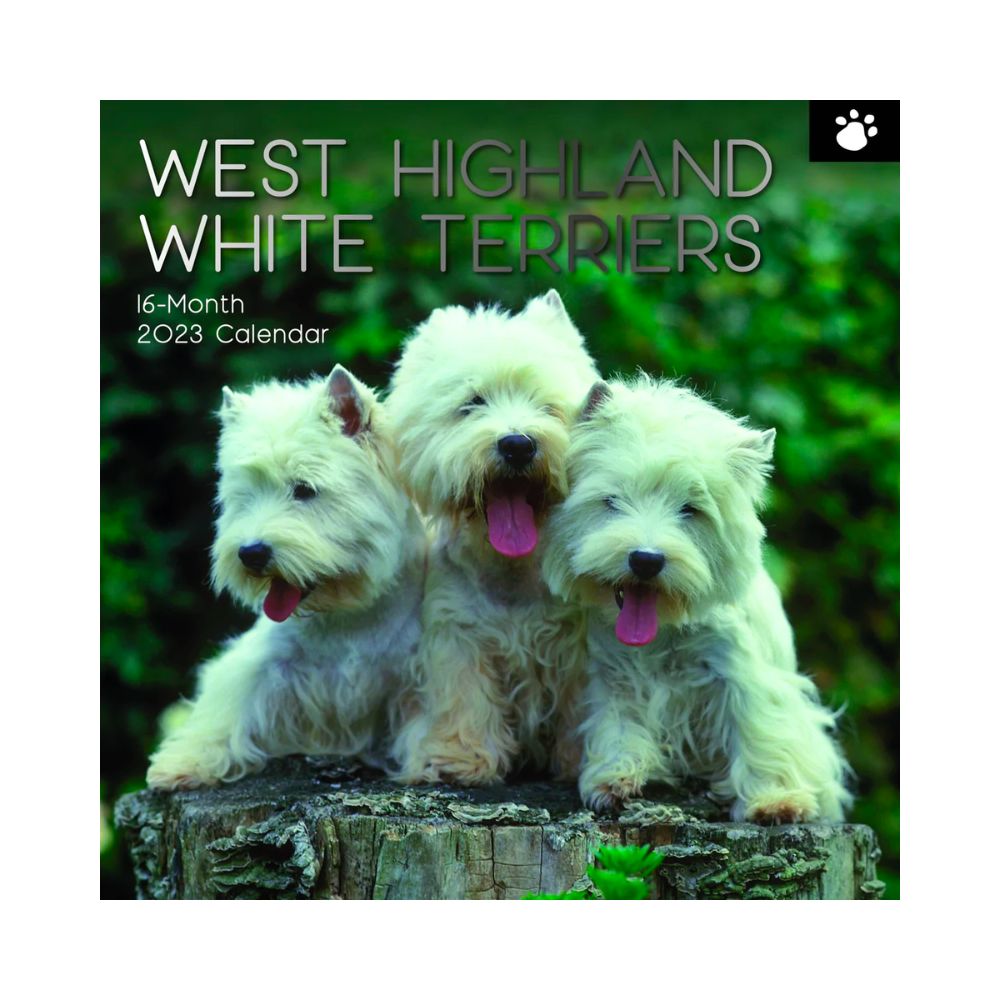 2023 Square Wall Calendar Animals - Dogs