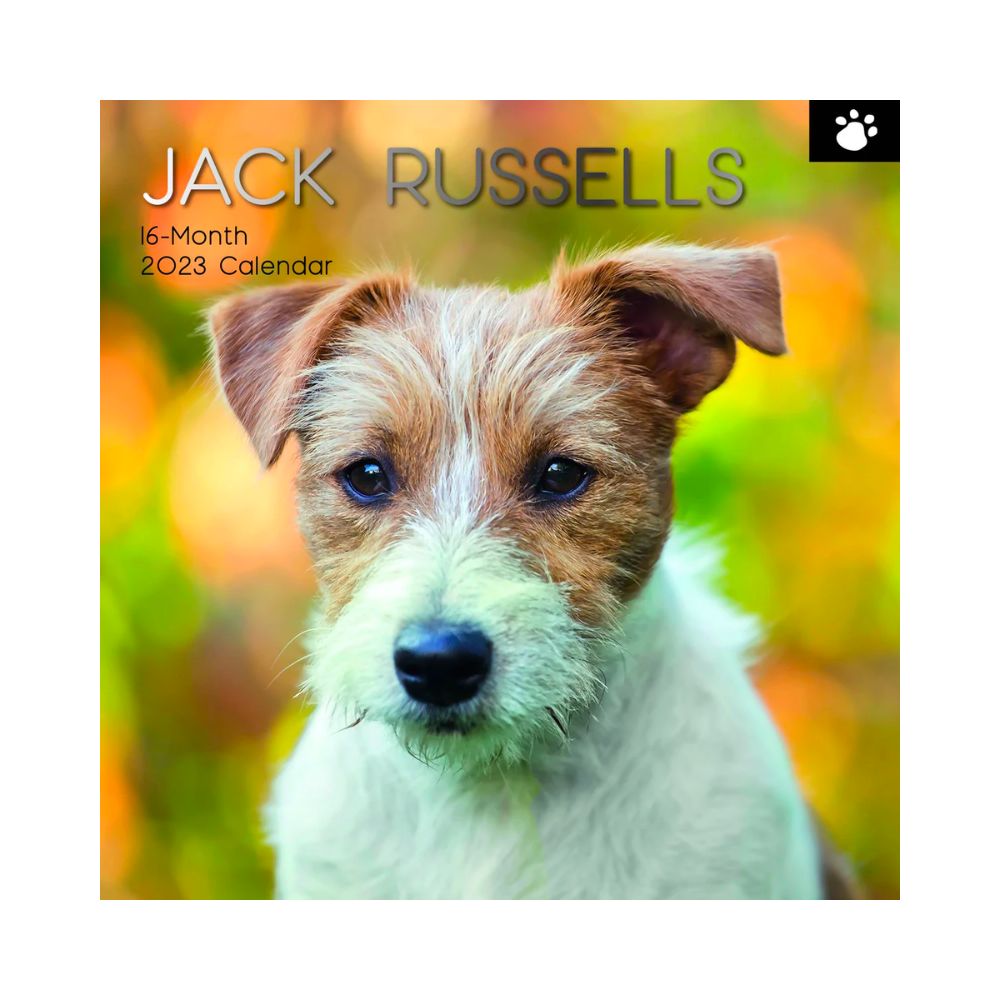 2023 Square Wall Calendar Animals - Dogs