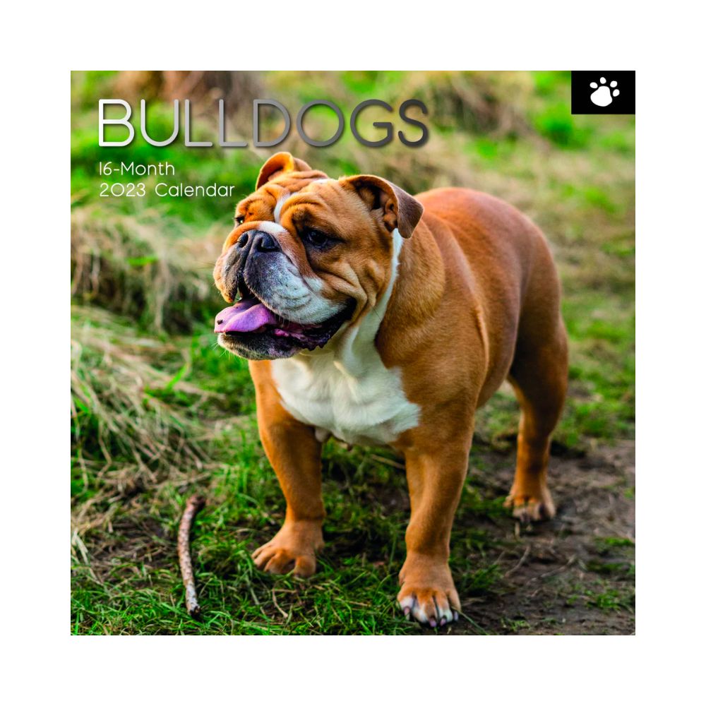 2023 Square Wall Calendar Animals - Dogs