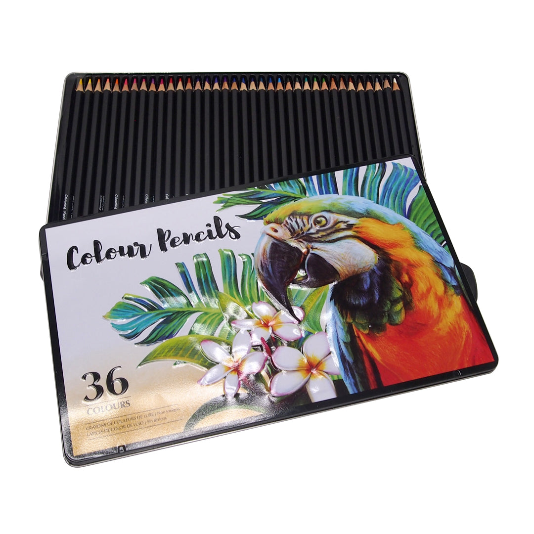 36 Pack Professional Colour Pencils Tin